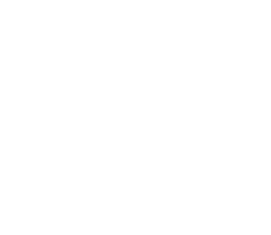 Not Your Average tortilla