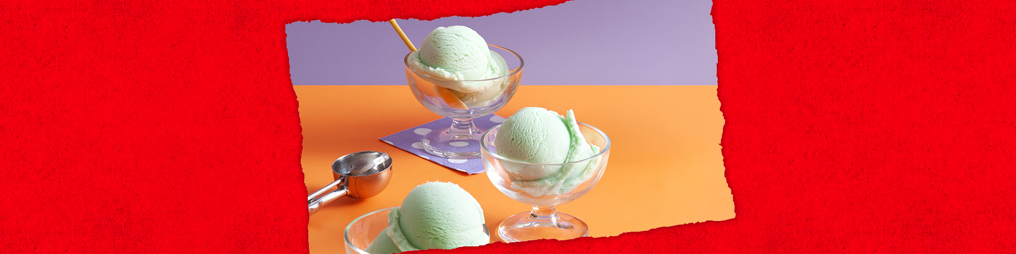 Nopalitos Ice Cream